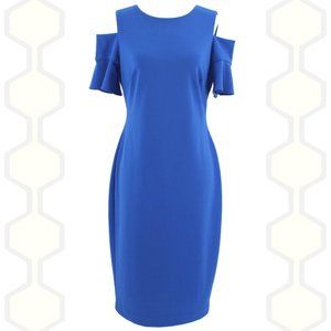 Calvin Klein Dress Blue Ruffle Sleeve Zip 6.